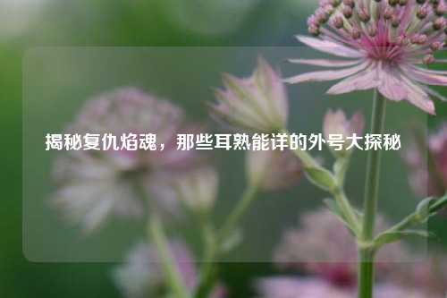 揭秘复仇焰魂,那些耳熟能详的外号大探秘