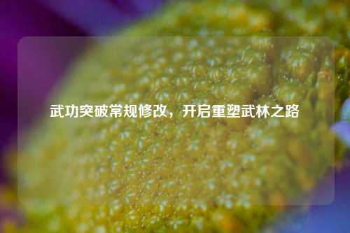 武功突破常规修改，开启重塑武林之路