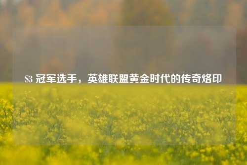 S3 冠军选手，英雄联盟黄金时代的传奇烙印