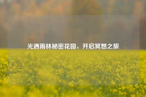 光遇雨林秘密花园，开启冥想之旅