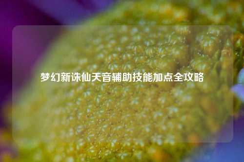 梦幻新诛仙天音辅助技能加点全攻略