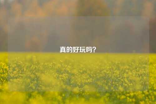 真的好玩吗?