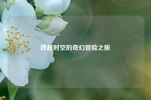 跨越时空的奇幻冒险之旅