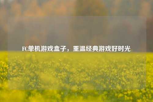 FC单机游戏盒子，重温经典游戏好时光