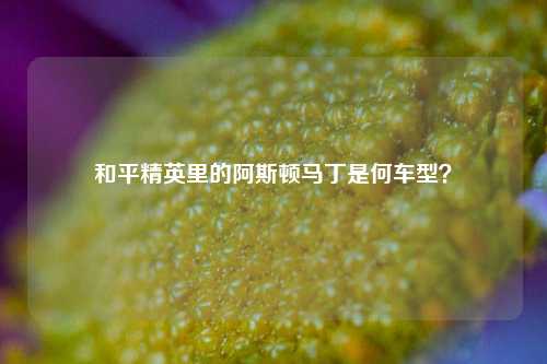 和平精英里的阿斯顿马丁是何车型？