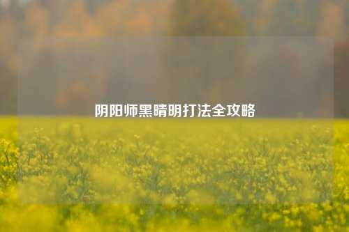 阴阳师黑晴明打法全攻略