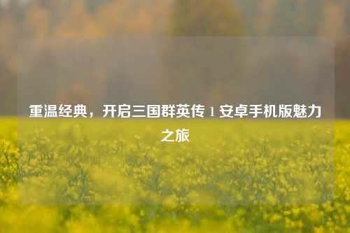 重温经典,开启三国群英传 1 安卓手机版魅力之旅