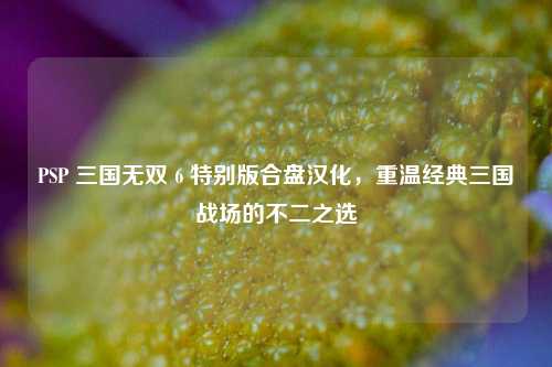 PSP 三国无双 6 特别版合盘汉化,重温经典三国战场的不二之选