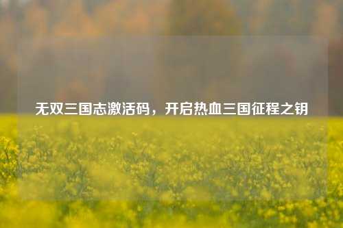 无双三国志激活码,开启热血三国征程之钥
