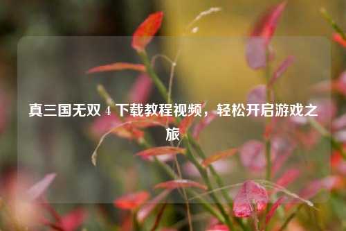 真三国无双 4 下载教程视频，轻松开启游戏之旅