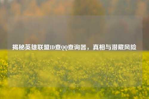 揭秘英雄联盟ID查QQ查询器，真相与潜藏风险