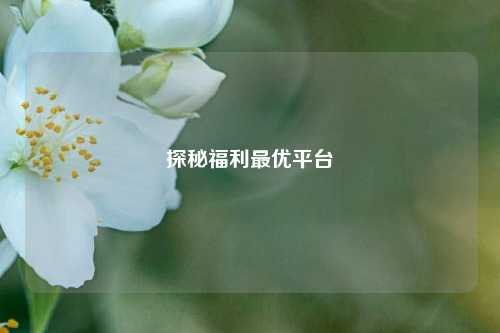 探秘福利最优平台