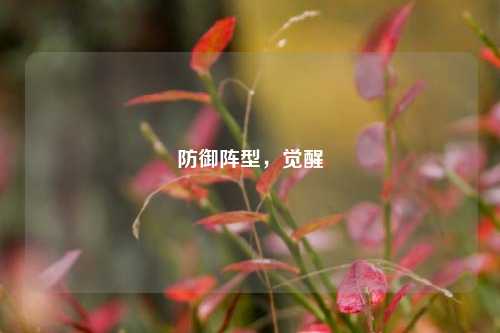 防御阵型,觉醒