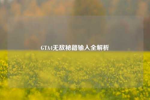 GTA4无敌秘籍输入全解析