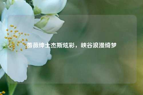 蔷薇绅士杰斯炫彩,峡谷浪漫绮梦