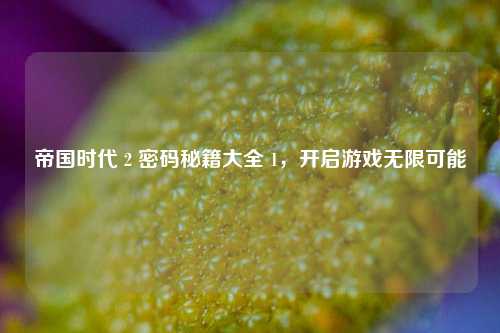 帝国时代 2 密码秘籍大全 1,开启游戏无限可能