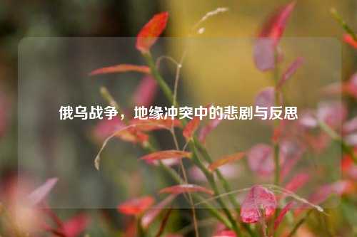 俄乌战争，地缘冲突中的悲剧与反思