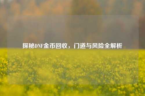 探秘DNF金币回收，门道与风险全解析