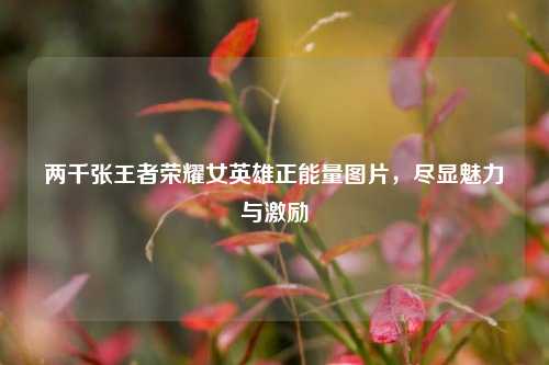 两千张王者荣耀女英雄正能量图片,尽显魅力与激励