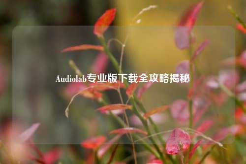 Audiolab专业版下载全攻略揭秘