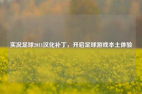 实况足球2011汉化补丁,开启足球游戏本土体验
