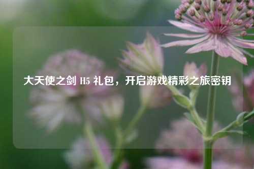 大天使之剑 H5 礼包，开启游戏精彩之旅密钥