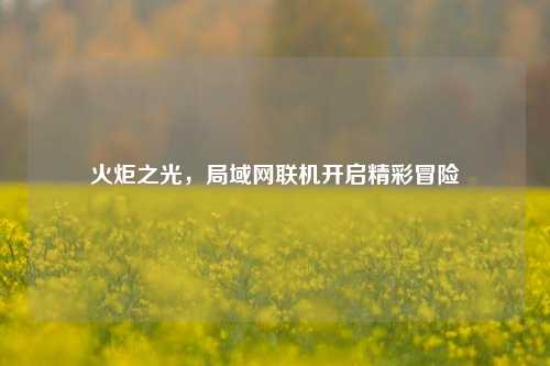火炬之光，局域网联机开启精彩冒险