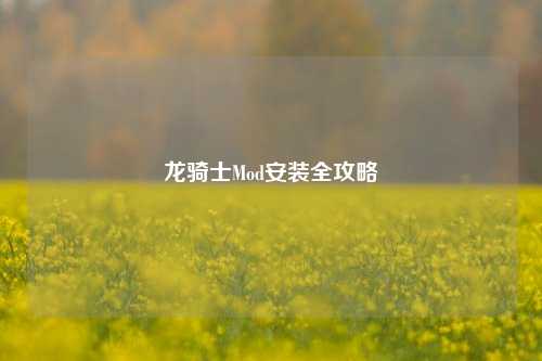 龙骑士Mod安装全攻略