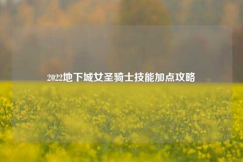 2022地下城女圣骑士技能加点攻略
