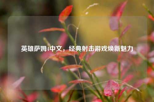 英雄萨姆4中文，经典射击游戏焕新魅力