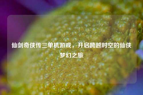 仙剑奇侠传三单机游戏，开启跨越时空的仙侠梦幻之旅