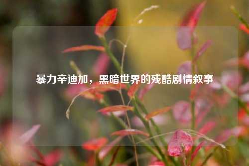暴力辛迪加,黑暗世界的残酷剧情叙事