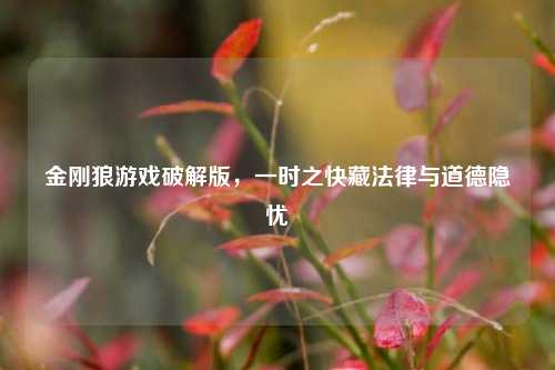 金刚狼游戏破解版,一时之快藏法律与道德隐忧