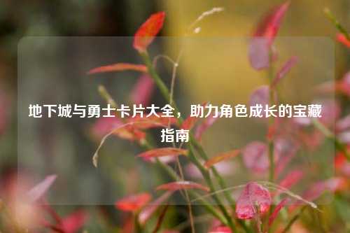 地下城与勇士卡片大全，助力角色成长的宝藏指南