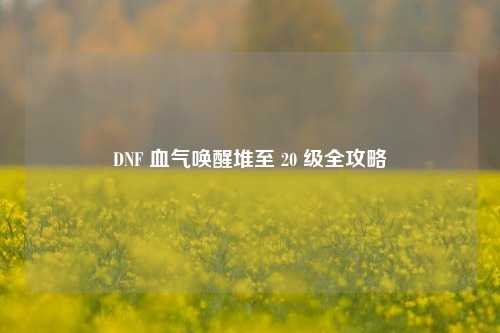 DNF 血气唤醒堆至 20 级全攻略