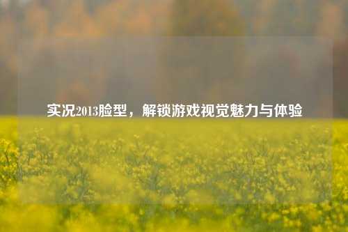 实况2013脸型，解锁游戏视觉魅力与体验