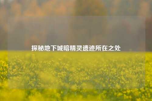 探秘地下城暗精灵遗迹所在之处