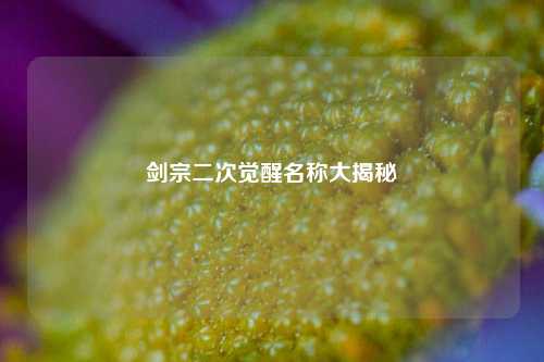 剑宗二次觉醒名称大揭秘