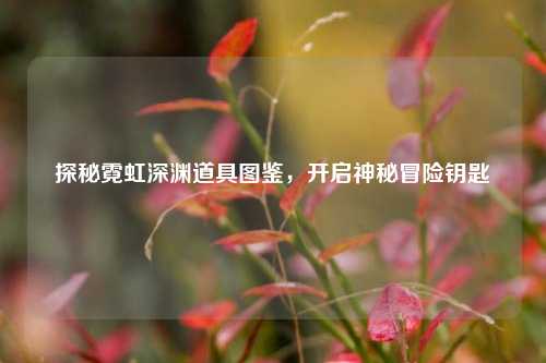 探秘霓虹深渊道具图鉴，开启神秘冒险钥匙