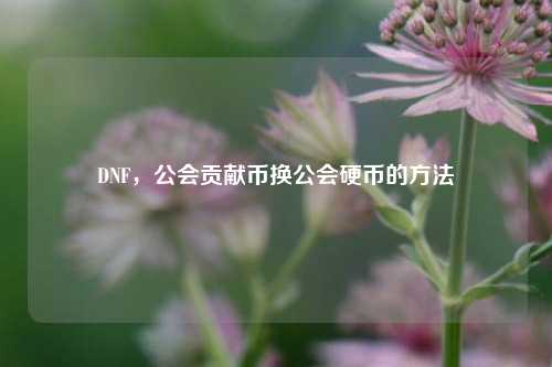 DNF，公会贡献币换公会硬币的方法