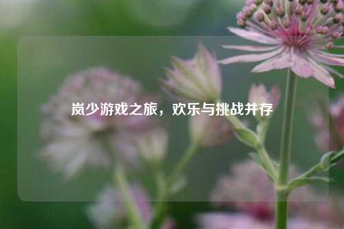 岚少游戏之旅,欢乐与挑战并存