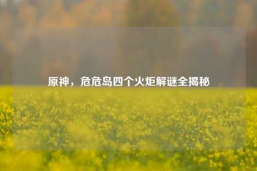 原神,危危岛四个火炬解谜全揭秘