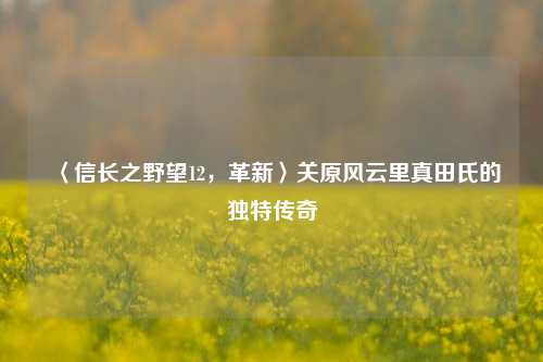 〈信长之野望12，革新〉关原风云里真田氏的独特传奇