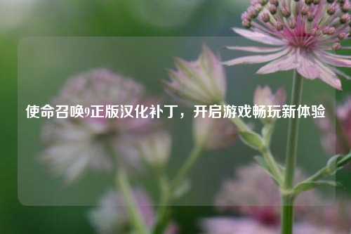 使命召唤9正版汉化补丁，开启游戏畅玩新体验