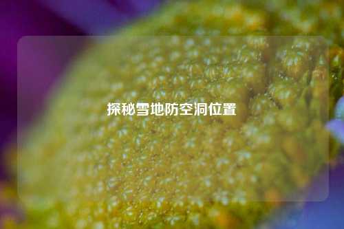 探秘雪地防空洞位置