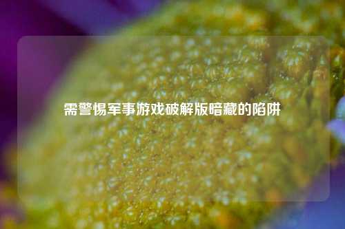 需警惕军事游戏破解版暗藏的陷阱