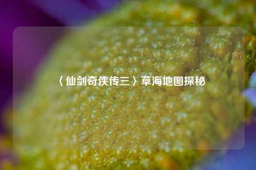 〈仙剑奇侠传三〉草海地图探秘