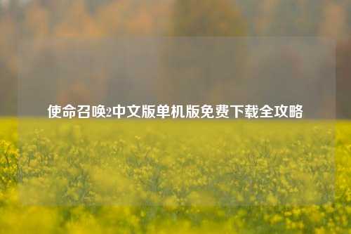 使命召唤2中文版单机版免费下载全攻略
