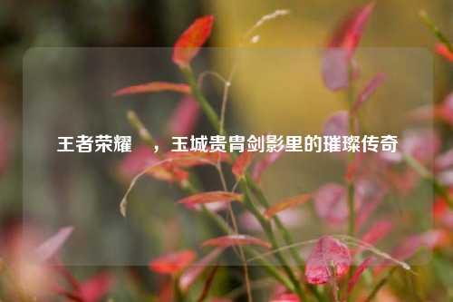王者荣耀暃,玉城贵胄剑影里的璀璨传奇