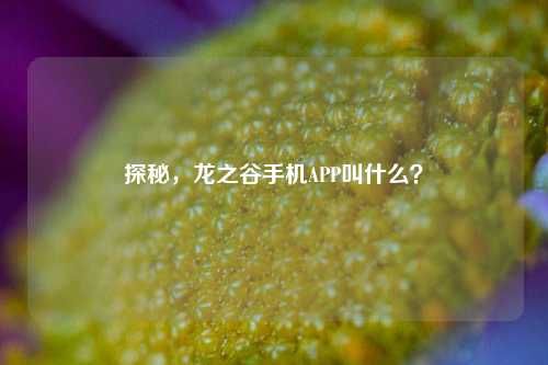探秘，龙之谷手机APP叫什么？